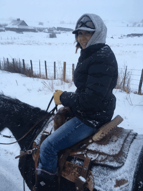 all-natural, grass-fed beef -18